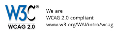 WCAG 2.0